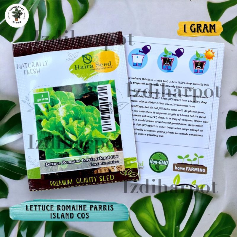 Benih Bibit Selada Green Romaine Parris Island Cos Haira Seed - SELADA PARRIS ISLAND COS