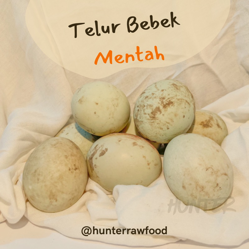 

TELUR BEBEK MENTAH 10 BUTIR & 15 BUTIR | TELOR BEBEK SEGAR | PENGIRIMAN INSTANT | 500 gr dan 1000 gr | 1 KG