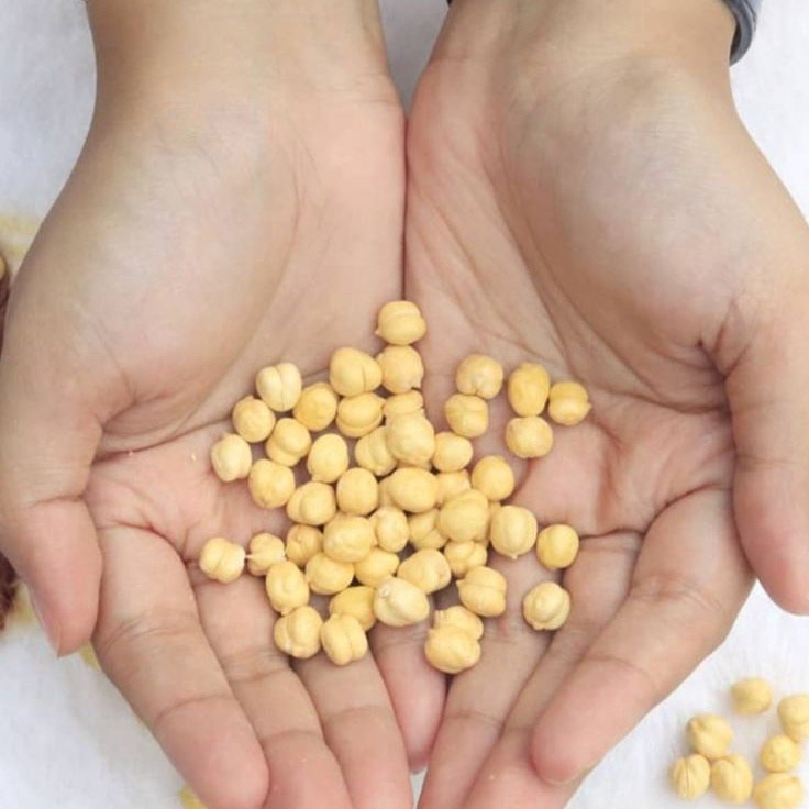 

Stock Banyak kacang Arab keju 1kg / kacang Arab original Baru