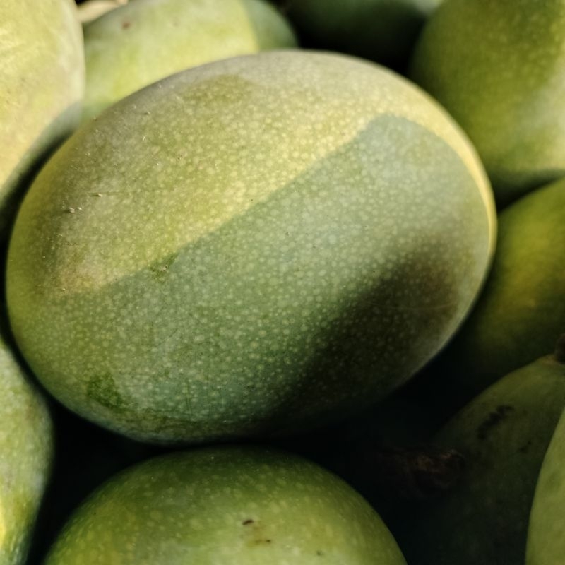 

BUAH MANGGA MANALAGI 1KG