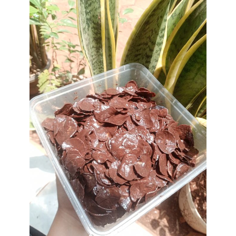 

PROMO KRIPIK PISANG COKLAT 1 KG