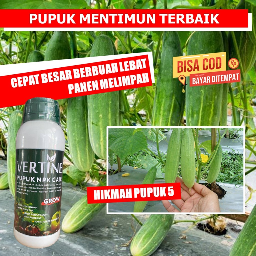 Pupuk Perbanyak Timun VERTINE NPK CAIR Pupuk Timun obat semprot anti virus kriting pupuk organik bul