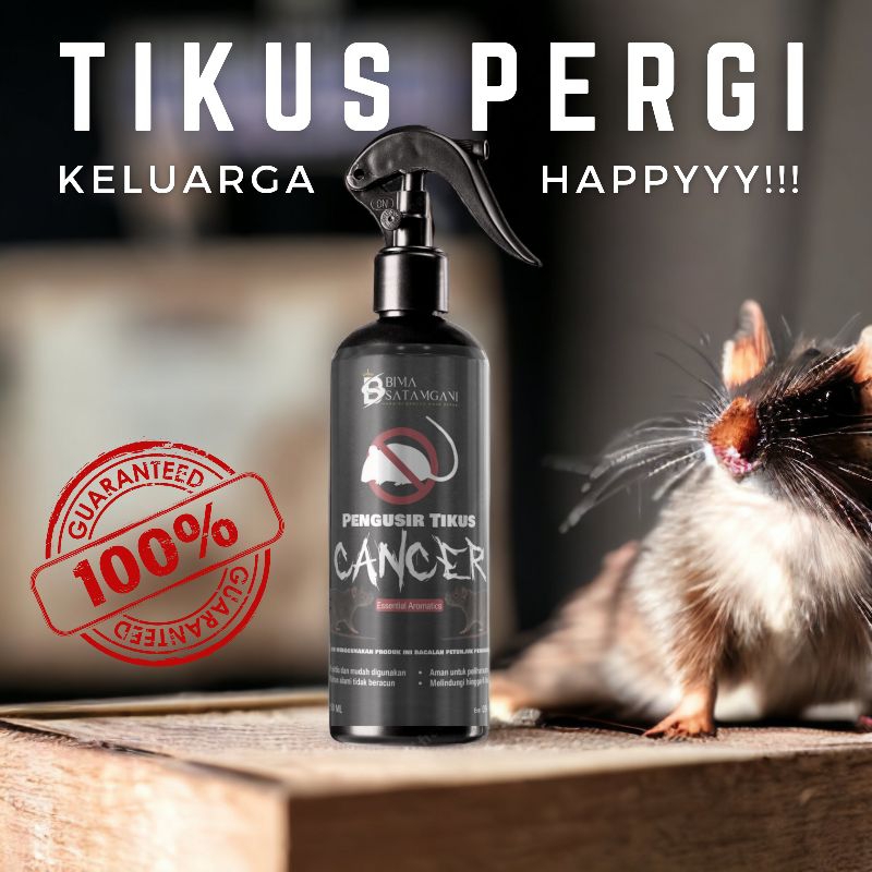 Pengusir Tikus Di Mesin Mobil Pengusir Tikus Rumah Paling Ampuh Cancer