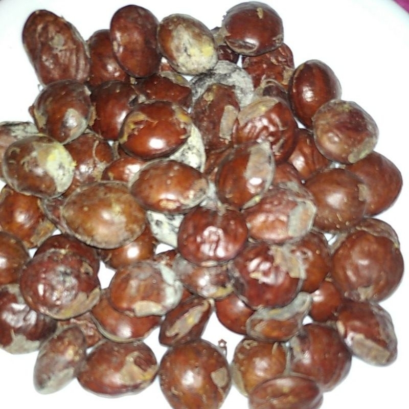 

BAHAN SAYUR JENGKOL JERING