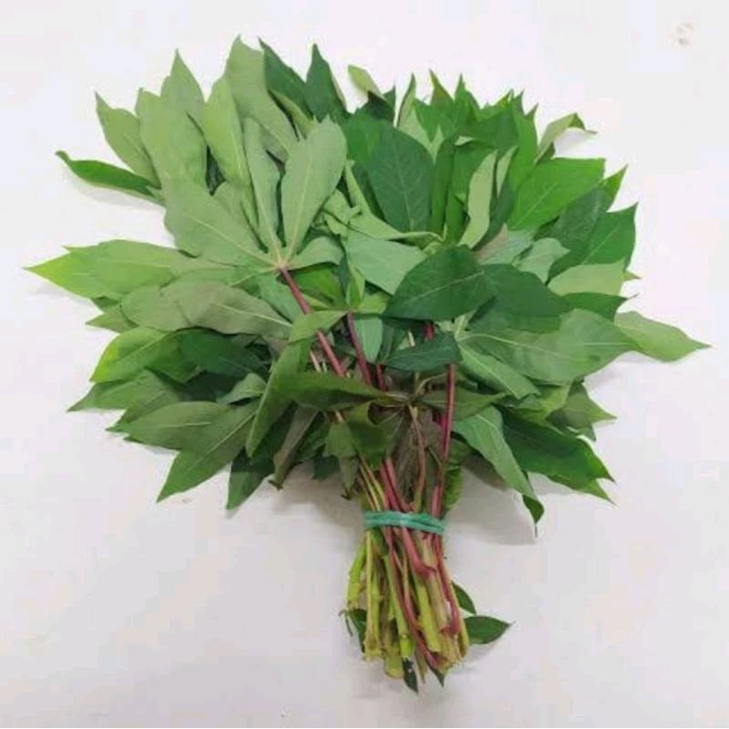 

daun singkong segar per iket