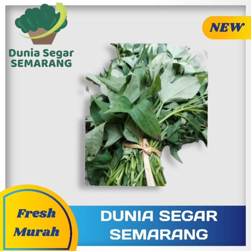 Sayur Glandir 1 ikat