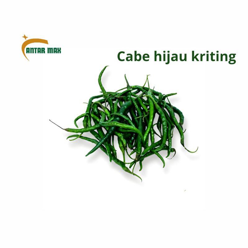 

cabe hijau keriting