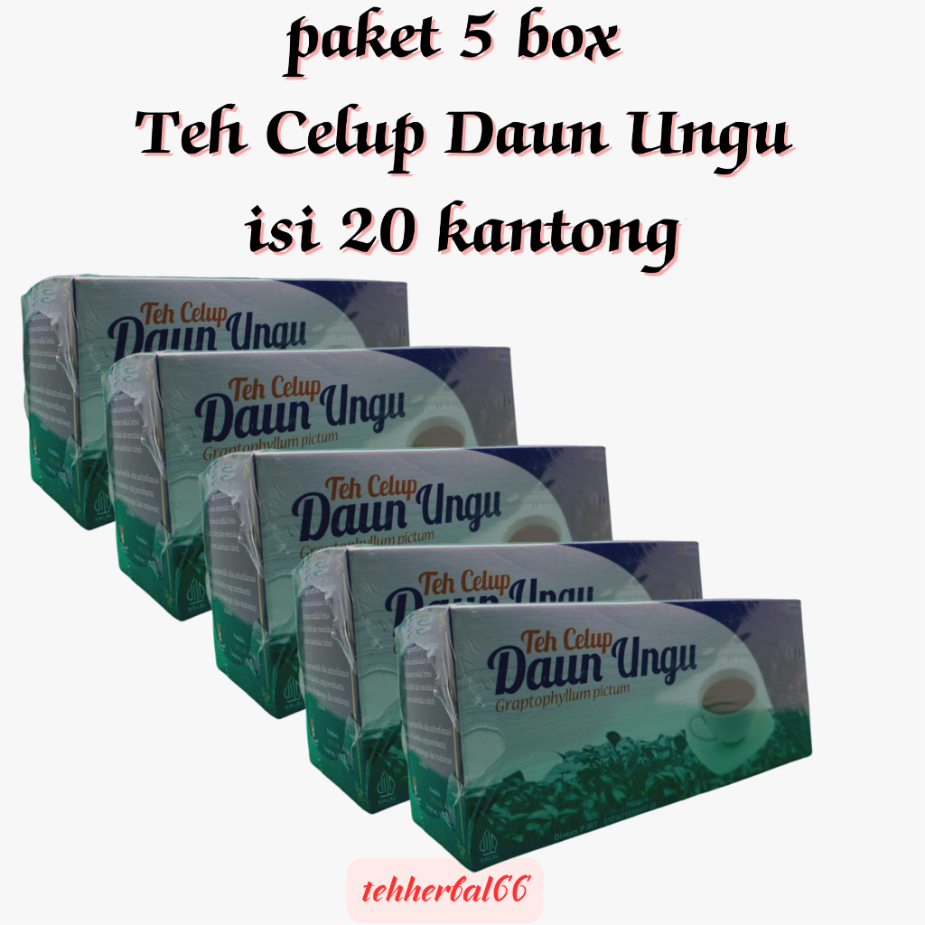 

5 BOX Teh Celup Daun Ungu 20 Kantong - Herbal Wasir dan Ambeien