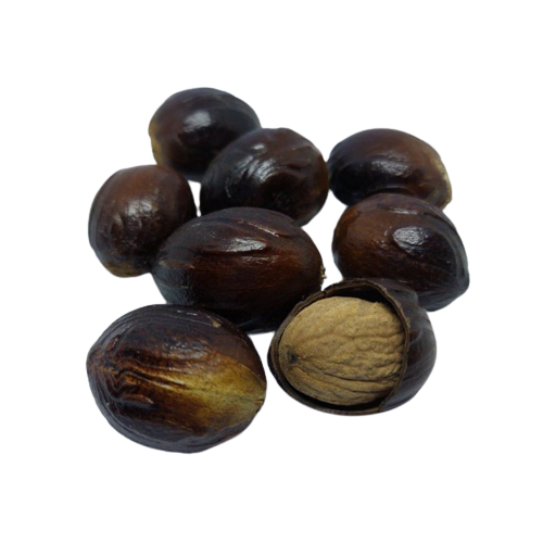 

KUKURING Biji Buah Pala Kering Untuk Bumbu Masakan Dan Herbal