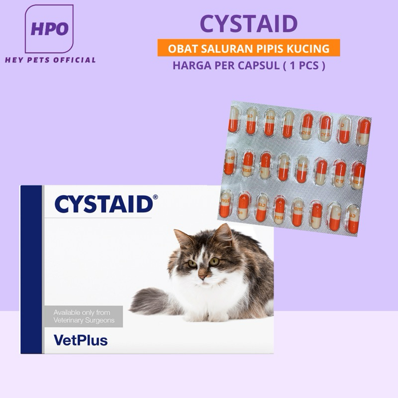 Cystaid Plus CystaidPlus Kapsul Obat Gangguan Saluran Kencing Kucing
