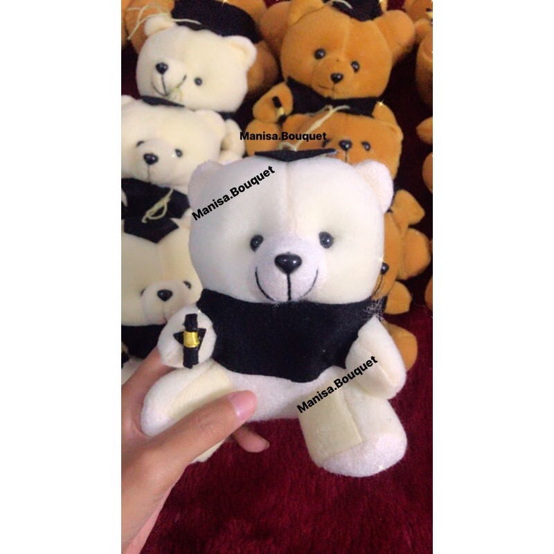 Boneka Teddy Bear/Boneka wisuda/Boneka teddy bear mini