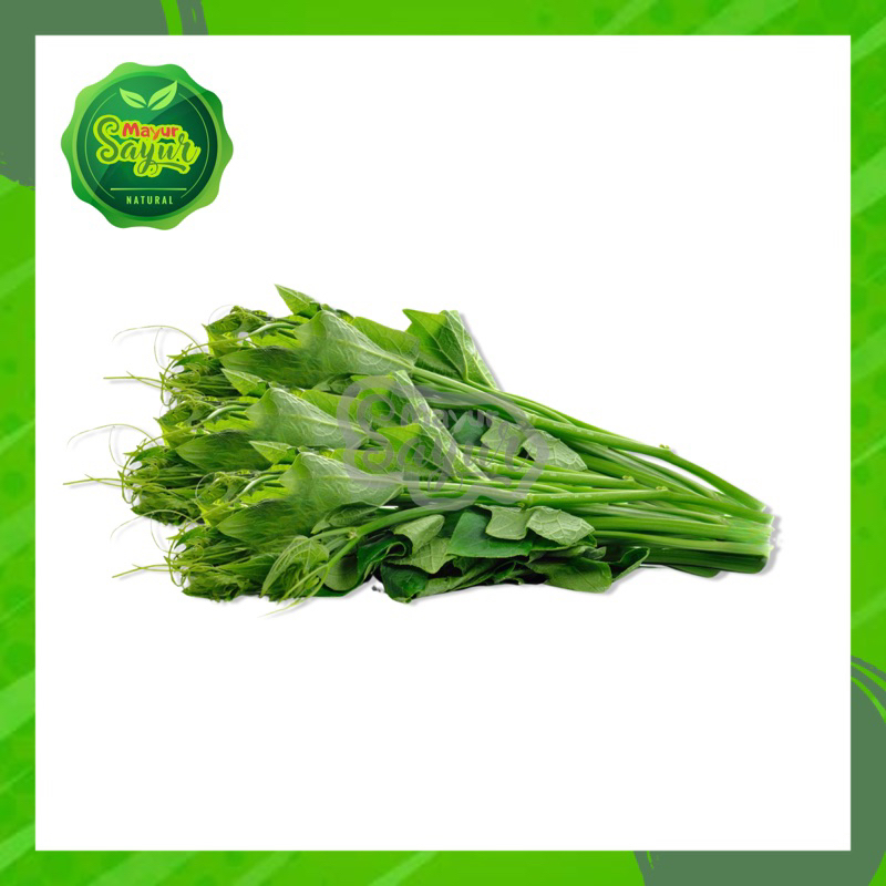 

KIRIM INSTAN Pucuk Labu Waluh / Daun Labu / Per Ikat