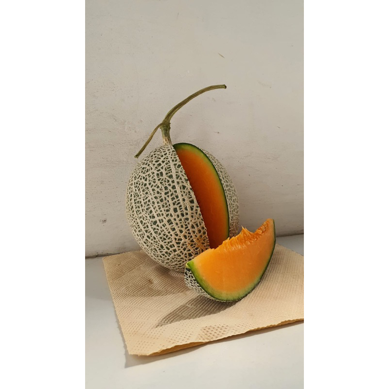 

Melon Premium Fujisawa Panen 18-22 Nov 2023