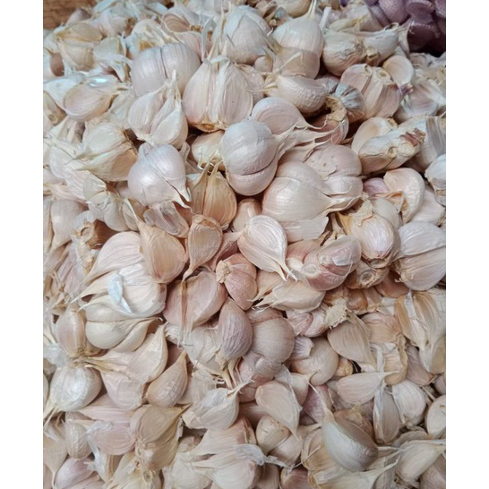 

➸➚✣ BAWANG PUTIH KATING FRESHH Promo