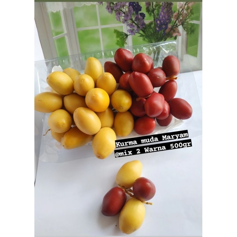 

KURMA MUDA MIX 1KG FRESH /SEGAR+ BONUS ZURIAT PROMIL MARYAM FRESH READY RUTHAB/KURMA MENTAH
