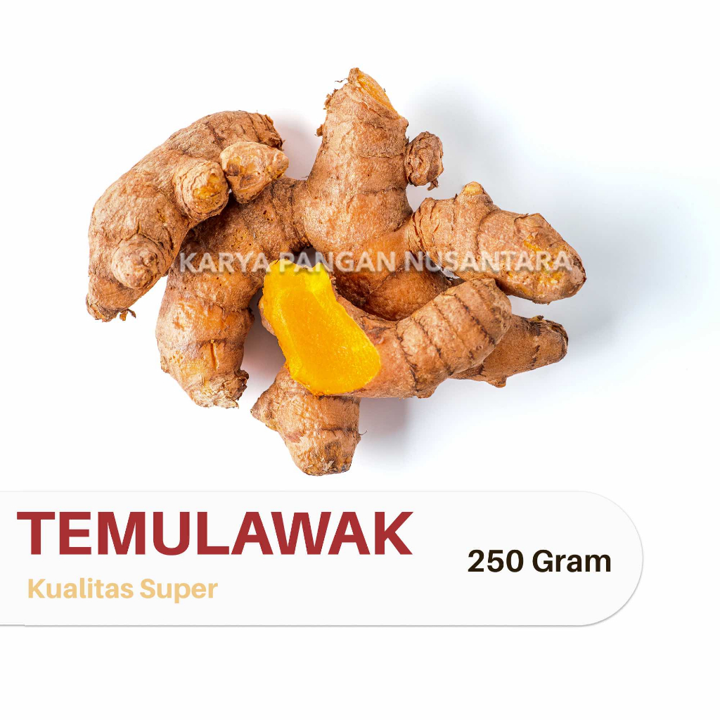 

TEMULAWAK FRESH TEMULAWAK SEGAR TEMU LAWAK KUALITAS SUPER 250 GRAM