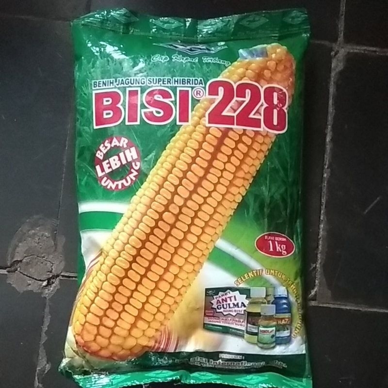 benih jagung bisi 228
