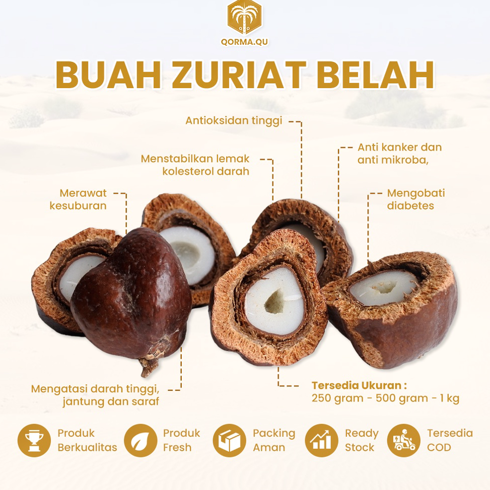 

❄️ READY STOK ❄️ (READY STOCK) Buah Zuriat Belah Mesir Original 100% Untuk Promil + Free Testpack