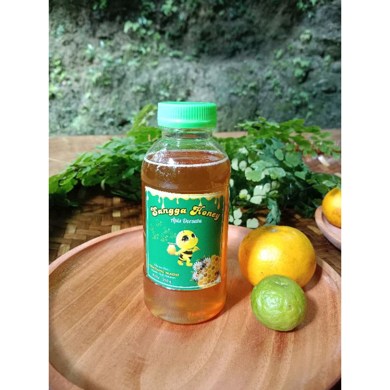 

MADU HUTAN (MADU APIS DORSATA)