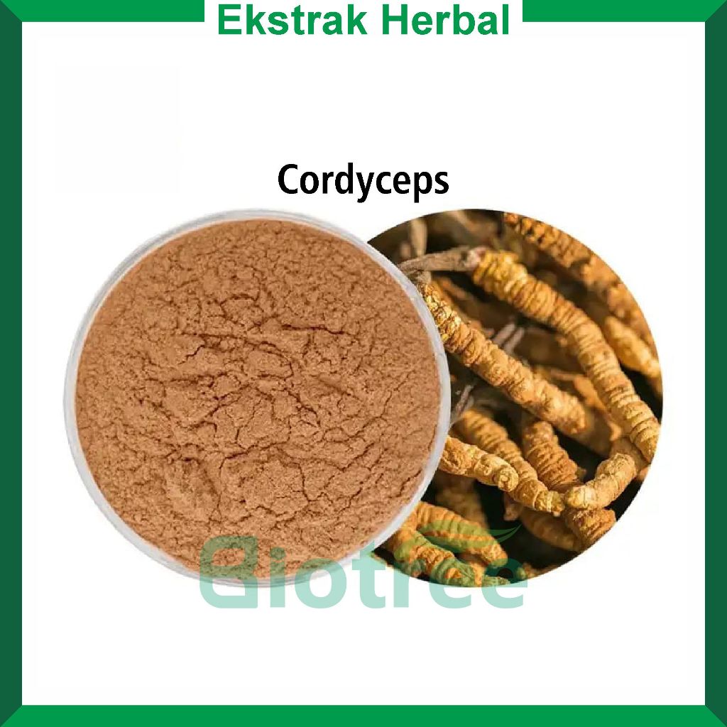 

Ekstrak Powder Cordyseps Sinensis 30% Polysacarida - 25 kg