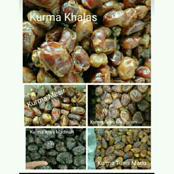 

KURMA