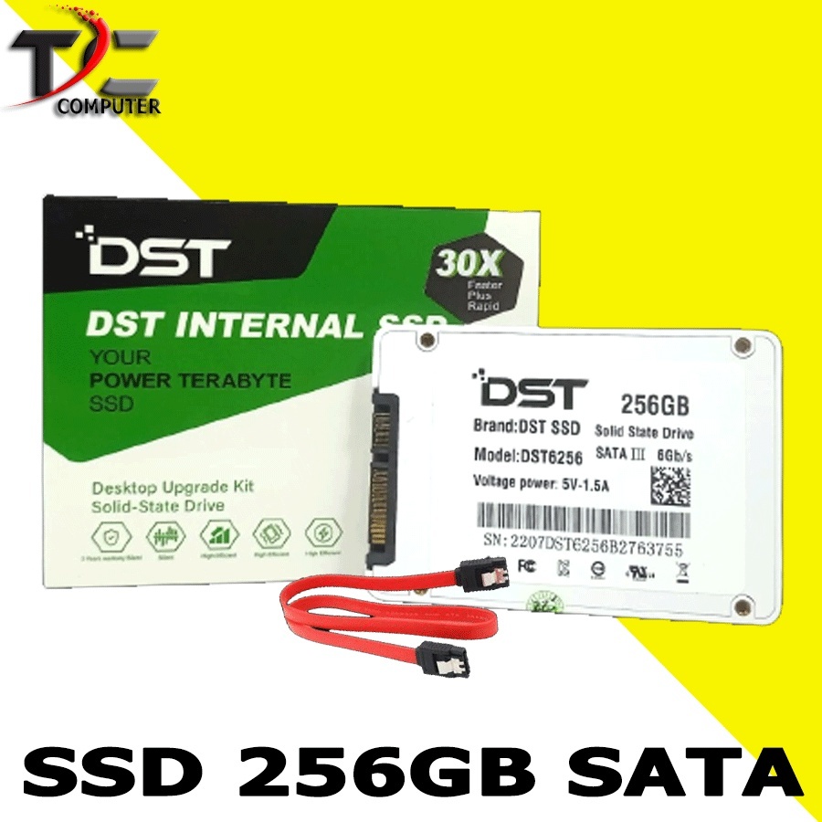SSD 256GB - MERK DST BLACK DRAGON