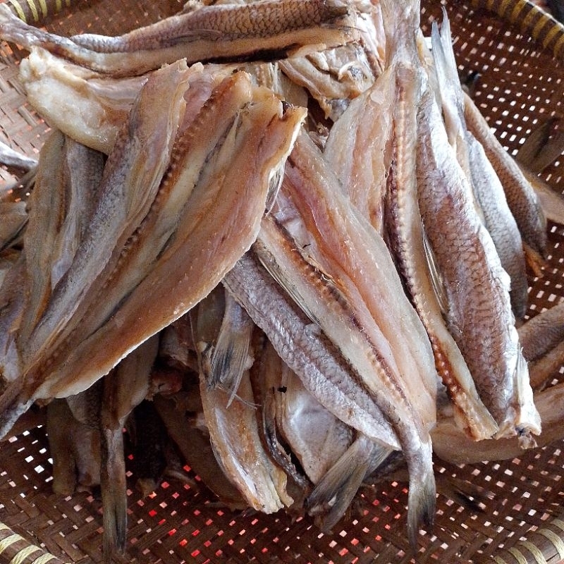 

IkanAsin/TawarBondan