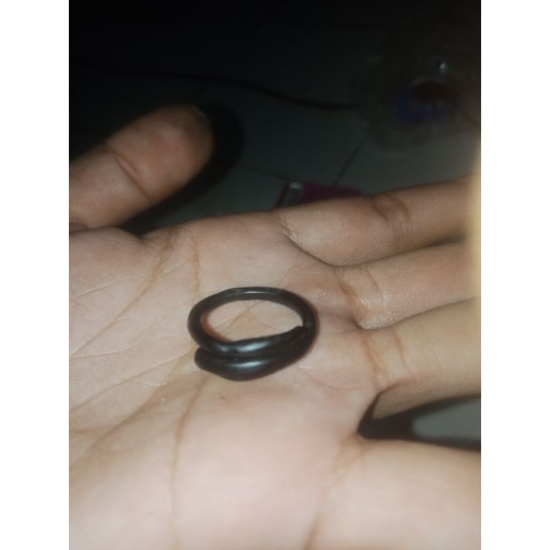 Cincin akar bahar