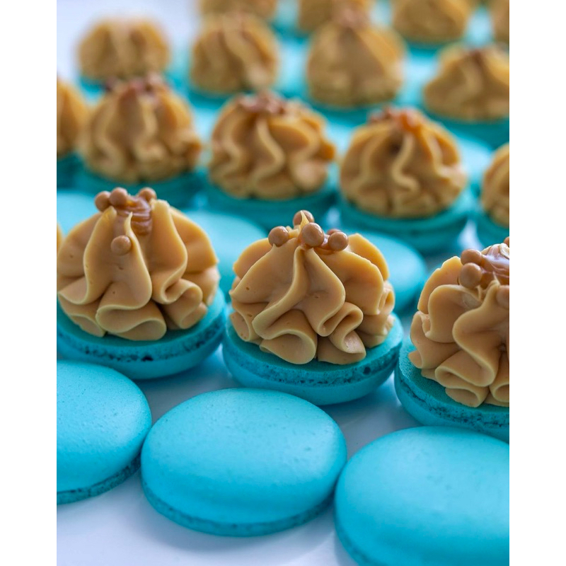 Premium Baby Macaron Kecil Isi Banyak Harga Murah