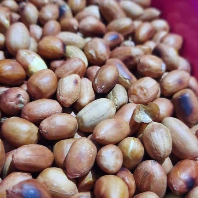 

Kacang OSE Sangrai (500gram)