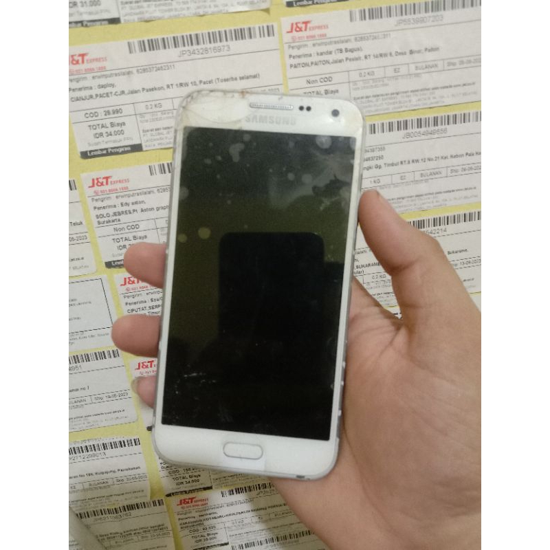 SAMSUNG E500H