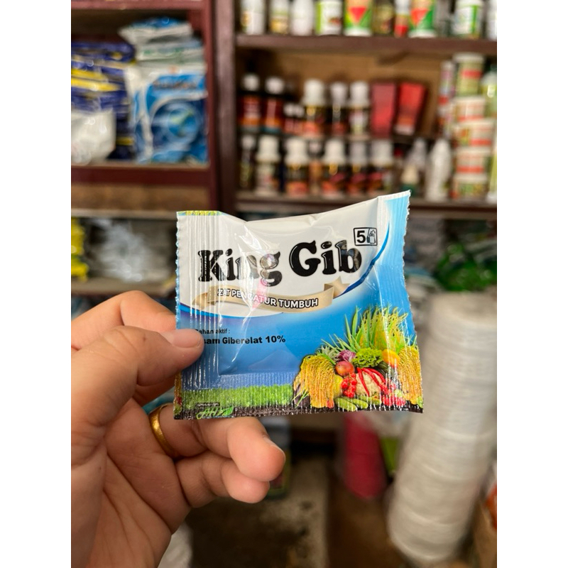 king gib zat pengatur tumbuh kinggib