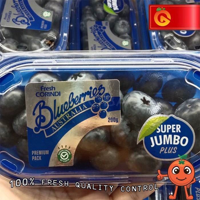 Buah Blueberry Jumbo Fresh 200 Gram