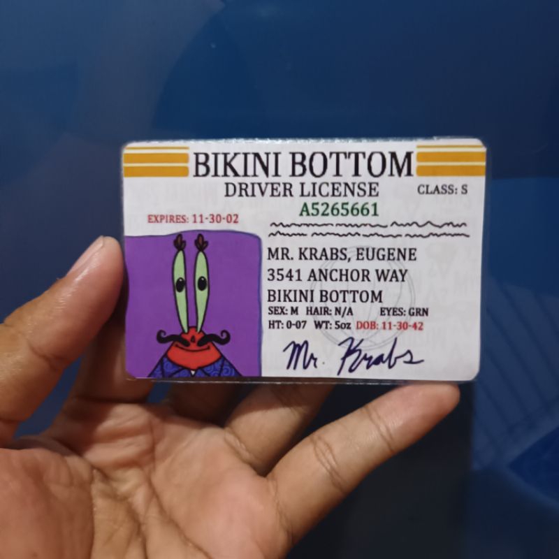 Plastik pelindung ktp atm spongebob driver license bikini bottom