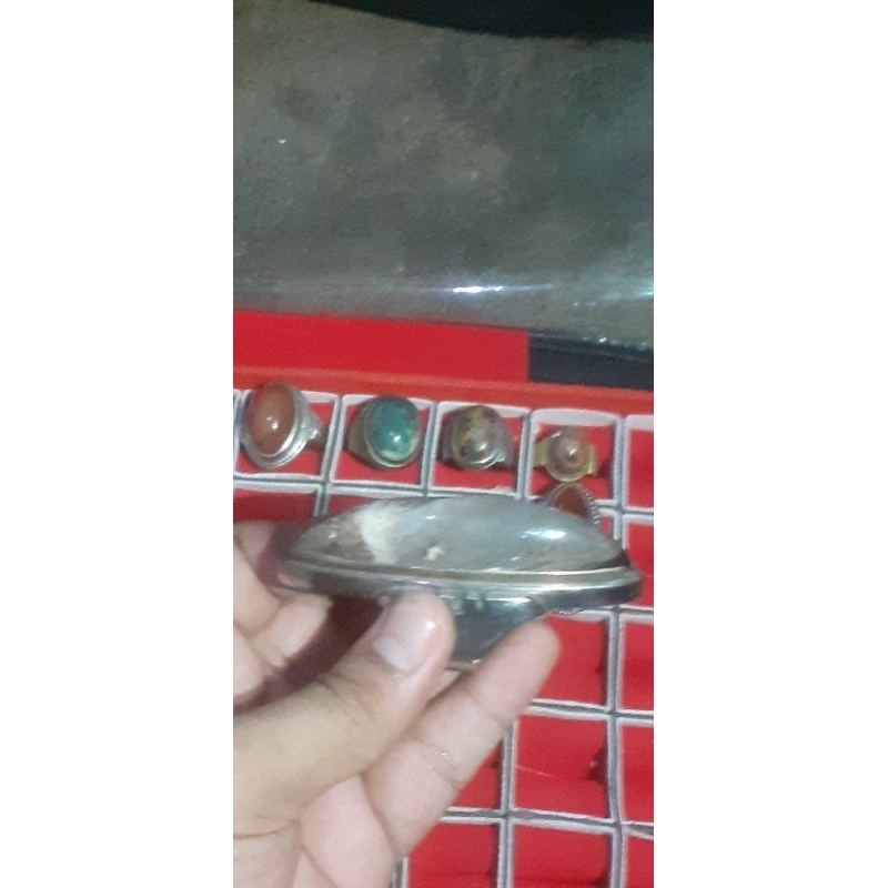 batu akik fosil kelor