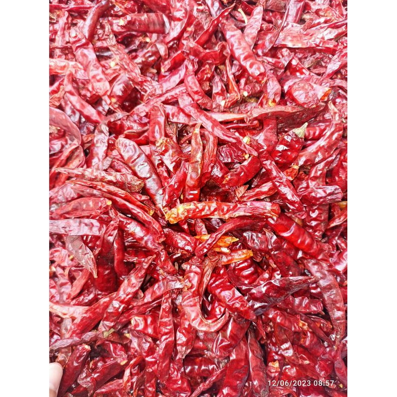 

(1KG) packing CABE CAPLAK RAWIT KERING TANPA TANGKAI SUPER PEDAS