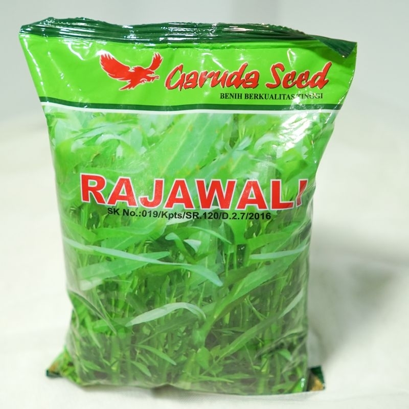 Benih Kangkung Rajawali 1 kg | Bibit Kangkung Daun Lebar