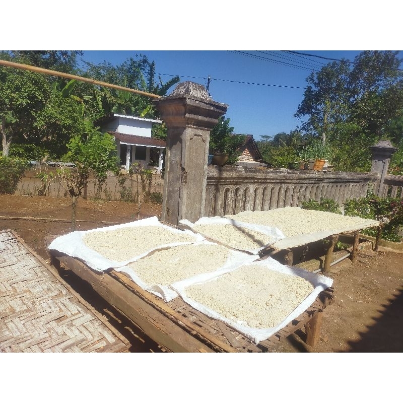 

Korzaln Tiwul 1 Kg Coklat Kuning Thiwul Wikioase Original