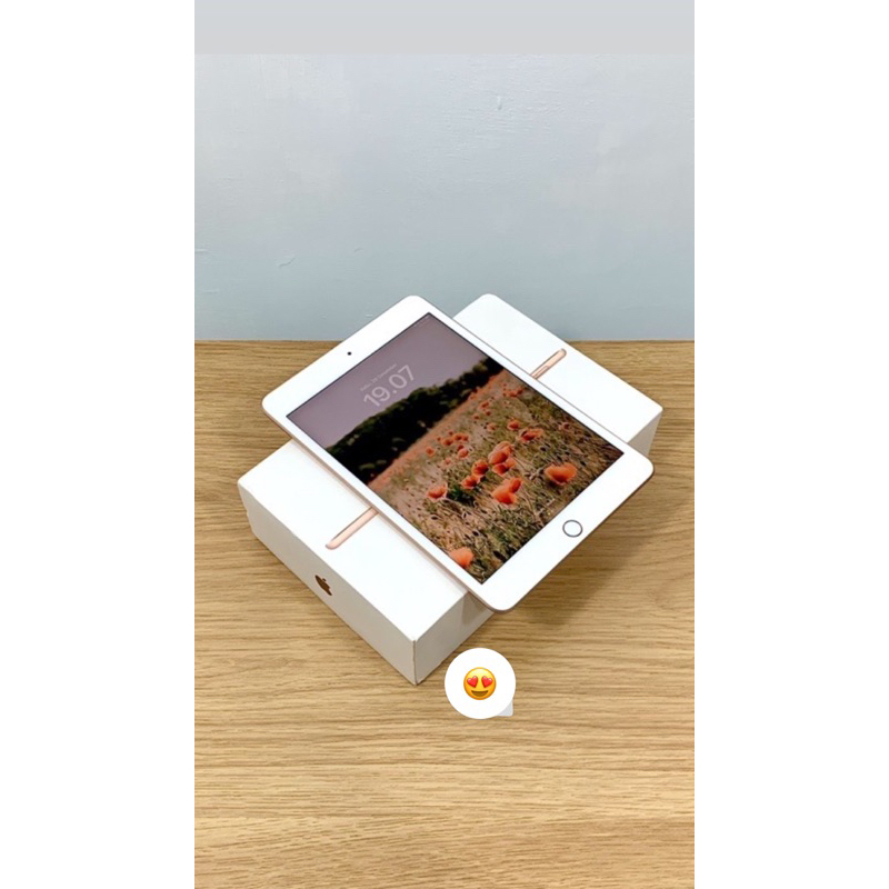 iPad Mini 5 256GB Wifi Cellular Second