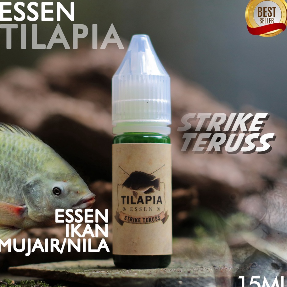 ✤Grosir✤ PROMO TILAPIA ESSEN IKAN NILA IKAN MUJAIR MUJAER LUMUT LUKUT