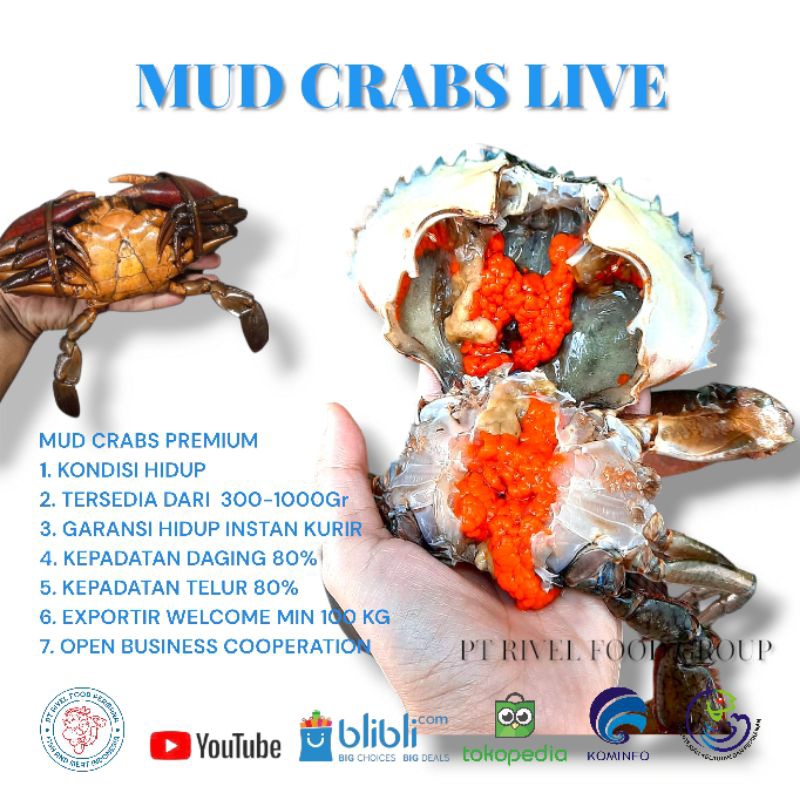 

Kepiting Telur Hidup 1Kg isi 3 Ekor (size 300up)
