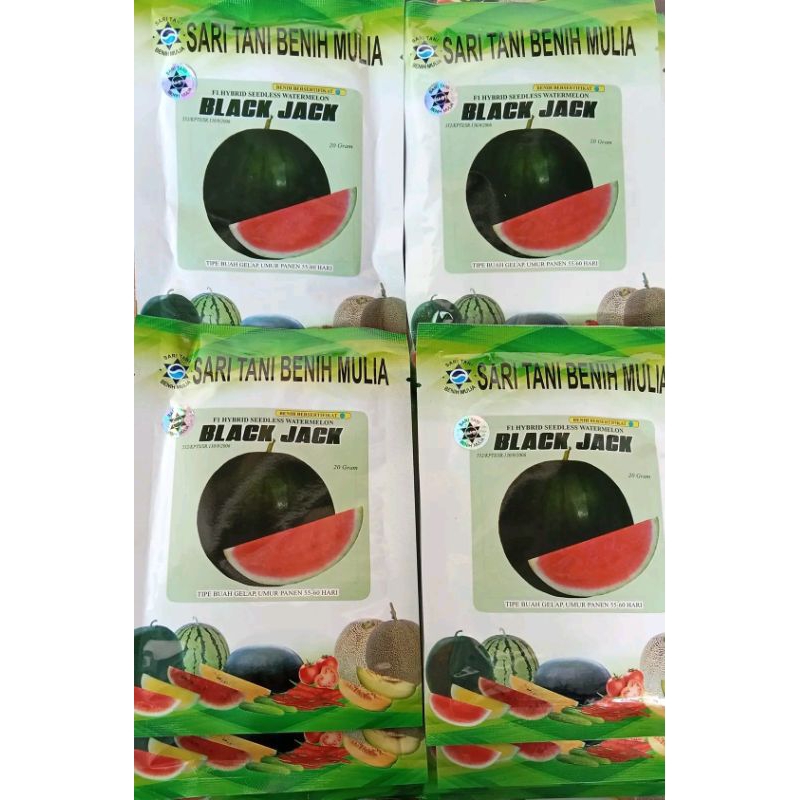 Benih Bibit Semangka Non Biji Black Jack F1 (Kulit Gelap Tebal, Rasa Manis dan Produksi Tinggi) isi 
