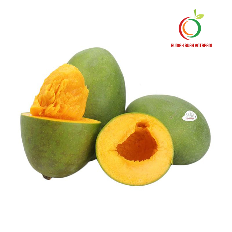 

Mangga Alpukat Klonal 1 Kg. Maniiiiisss...