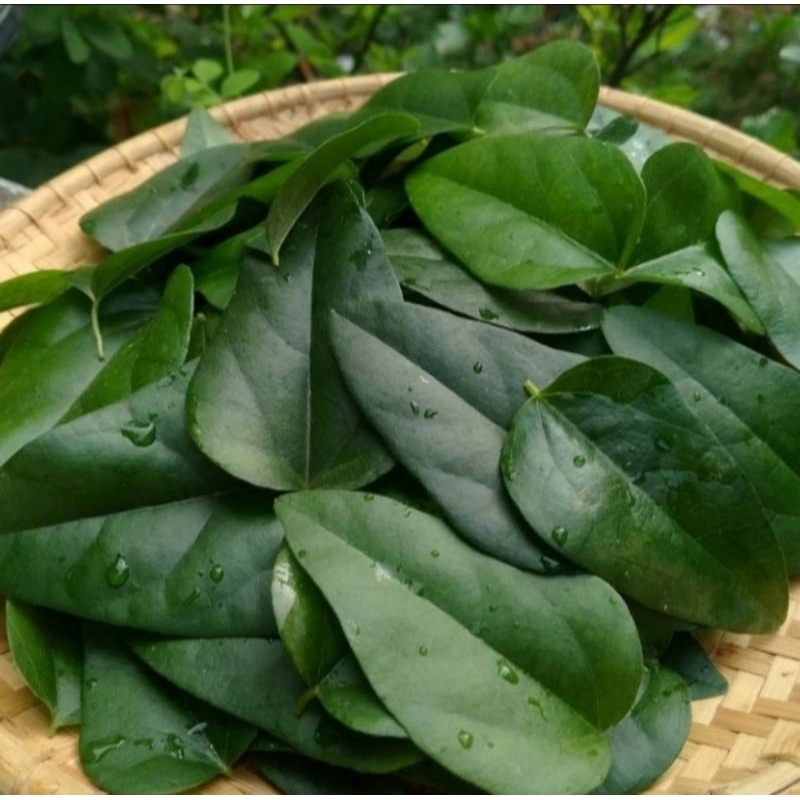 

Cincau Jelly Segar Netto 50 Gram Original