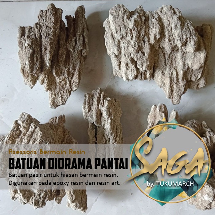 SAGA BATU KARANG DIORAMA PANTAI 250GR