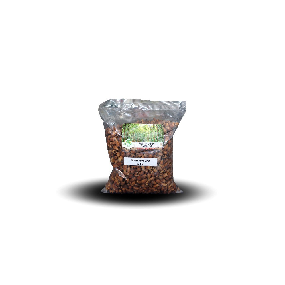 Benih Jati Putih Gmelina - Star Farm