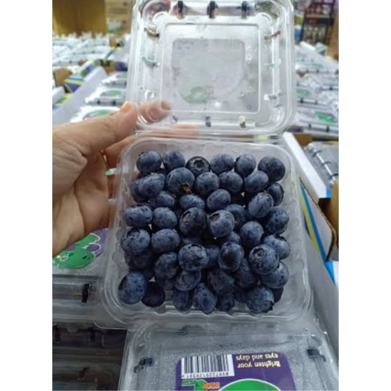 

Buah Blueberry