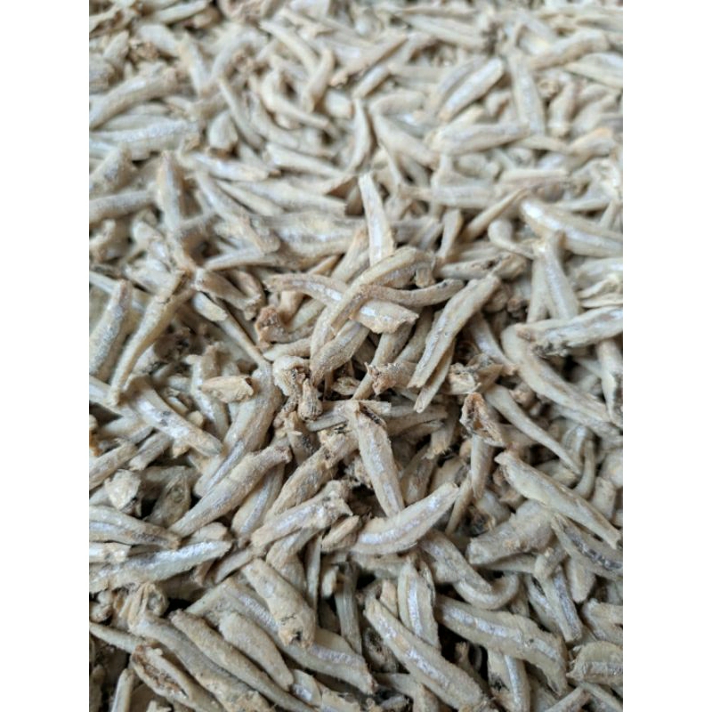 

Teri Jengki 500 gram