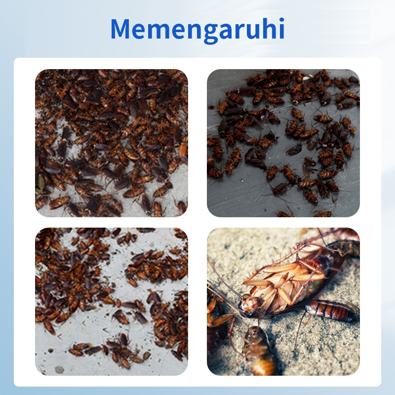 Gel Racun pembasmi kecoa Obat Ampuh Efektif Membunuh Pembasmi Kecoa/Racun Kecoa Ampuh/racun pembasmi