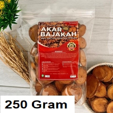

Akar Kayu BAJAKAH TAMPALA MERAH Siap Seduh Obat Tumor dan Kanker 100% ORIGINAL Kalimantan 250g